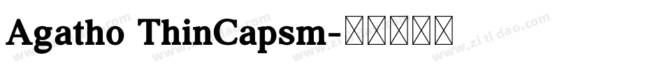 Agatho ThinCapsm字体转换
